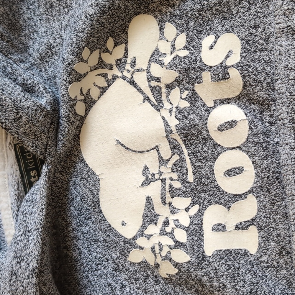 Roots Sweatshirt And Sweatpants Size 2T - Picture 5 of 7